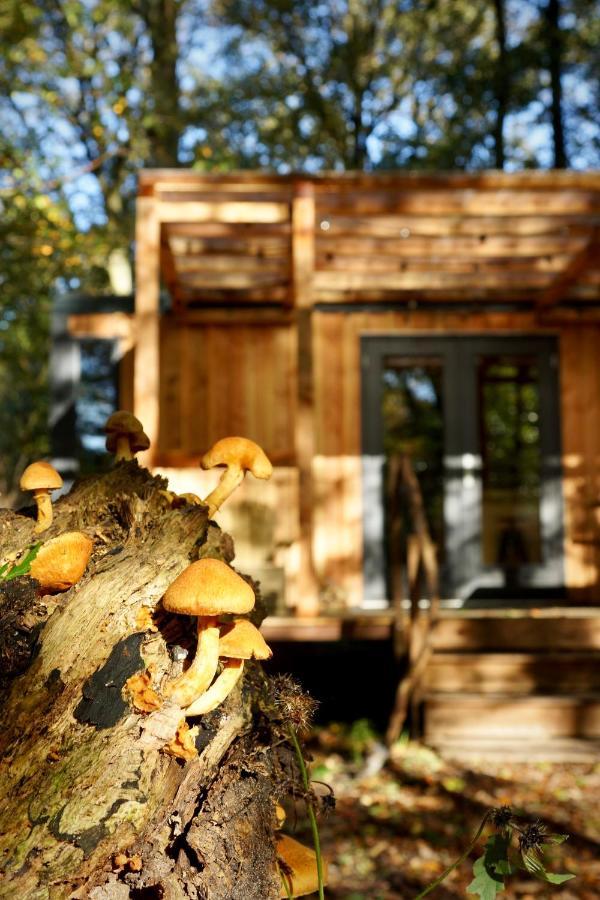 De Swaenhoeve Zoersel ภายนอก รูปภาพ