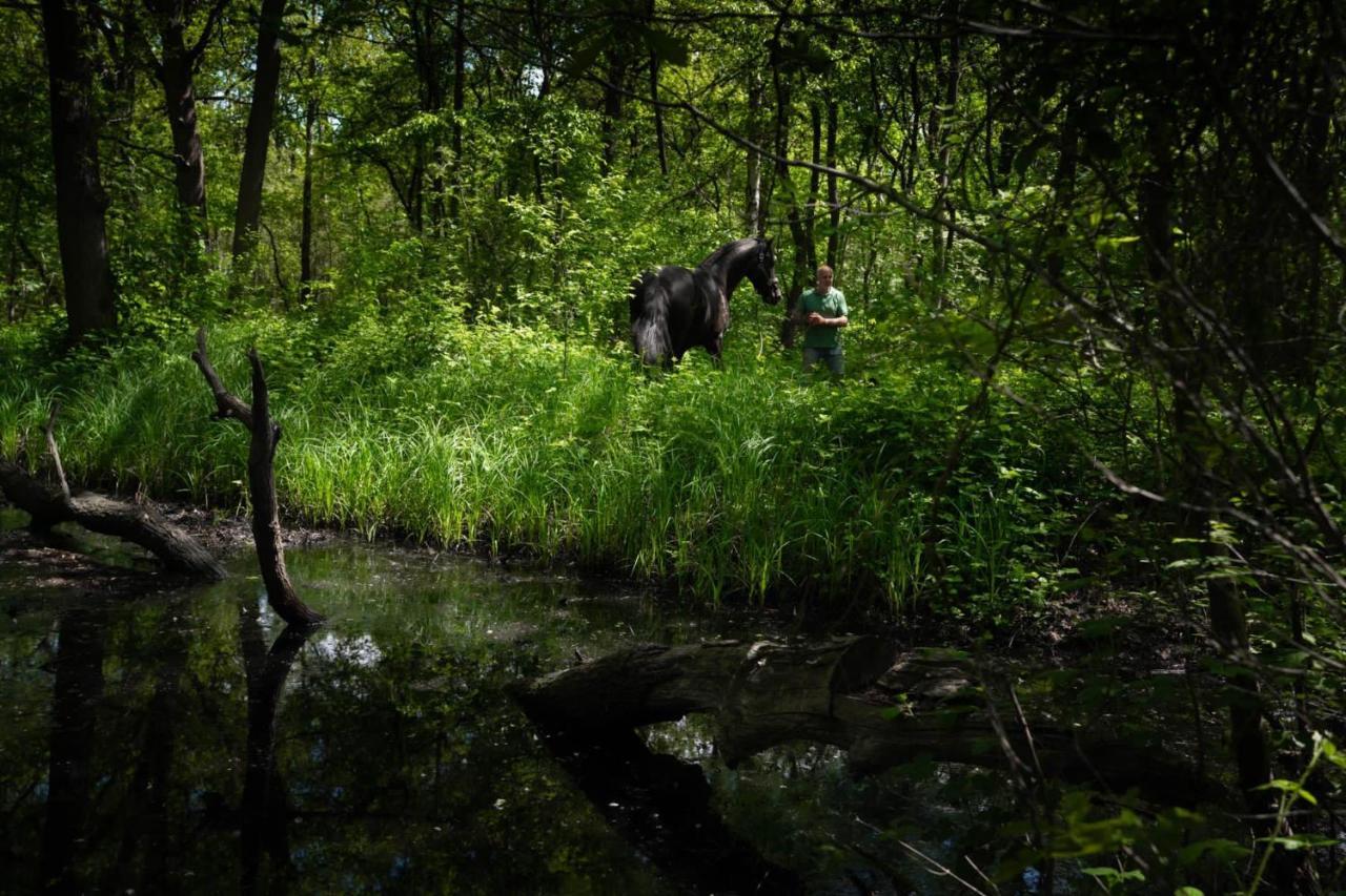 De Swaenhoeve Zoersel ภายนอก รูปภาพ