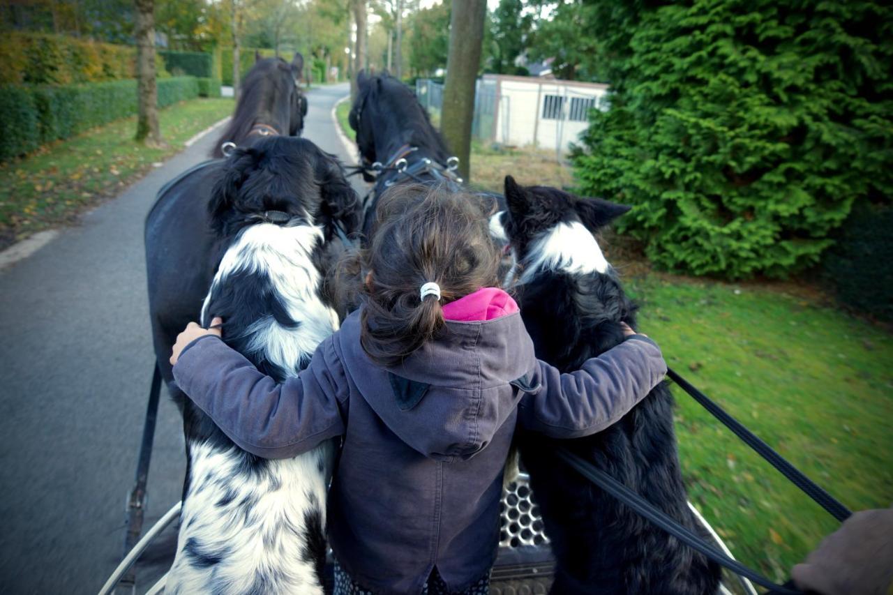 De Swaenhoeve Zoersel ภายนอก รูปภาพ