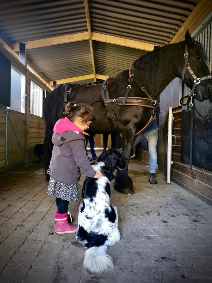 De Swaenhoeve Zoersel ภายนอก รูปภาพ